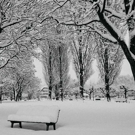 Haus Zur Aach Tinyhouse Ferienhaus