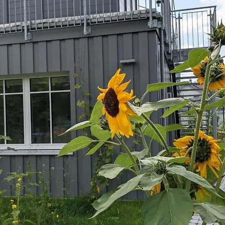 Haus Zur Aach Tinyhouse Uhldingen-Mühlhofen