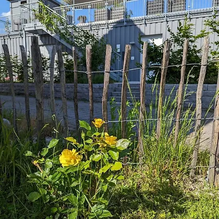 Haus Zur Aach Tinyhouse Ferienhaus